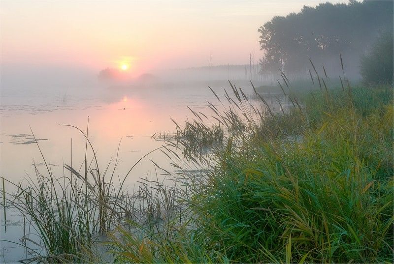 утро, рассвет, восход, река, старица, берега, солнце, туман Утро на старице фото превью