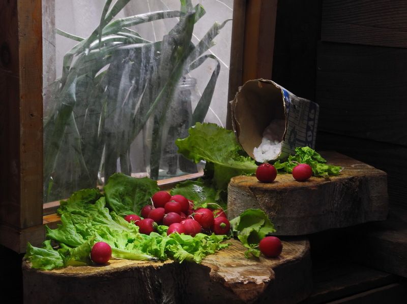 еда, салат, редис, лук, соль, Весенние витамины. фото превью