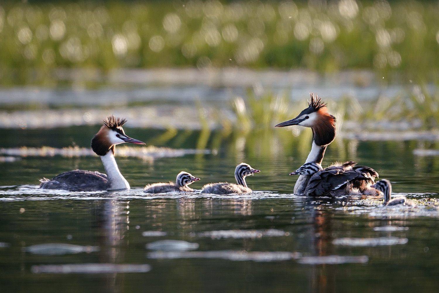 , Тябин Владислав