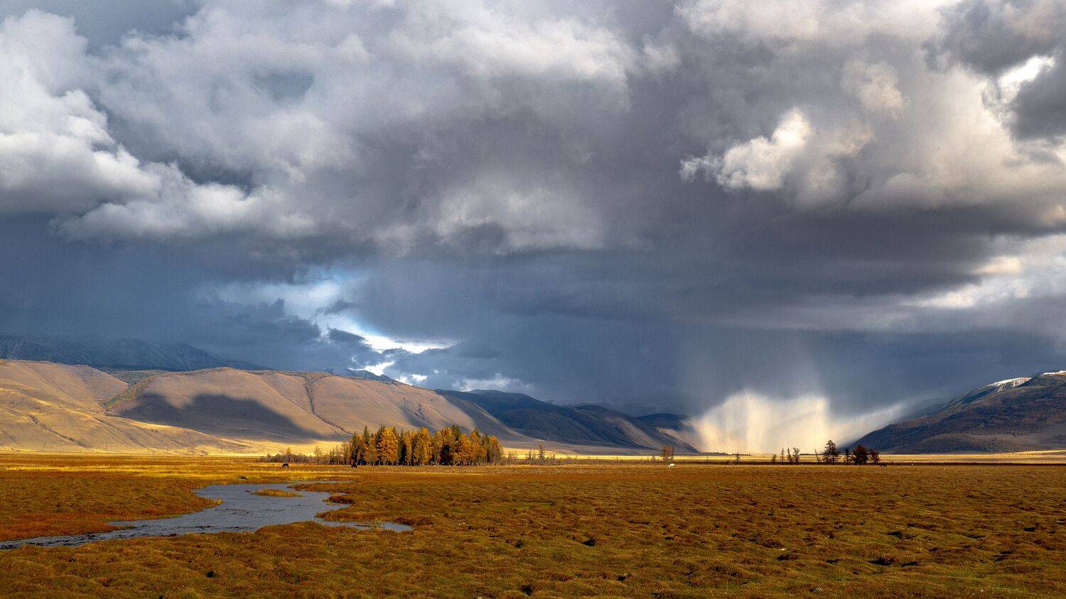 , Немшон Андрей