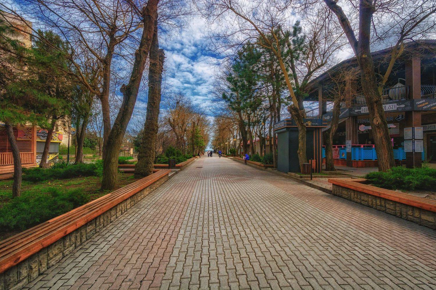 , Владимир Гамаюнов