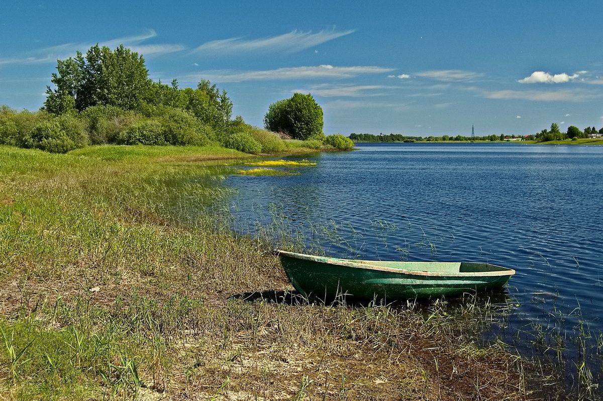 , Николаев Владимир