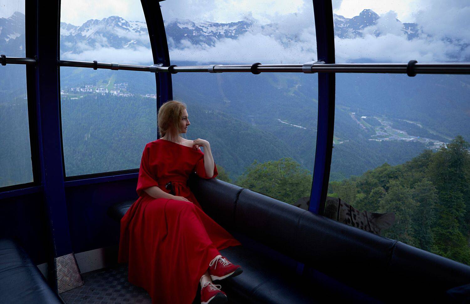 , Франгони Владимир