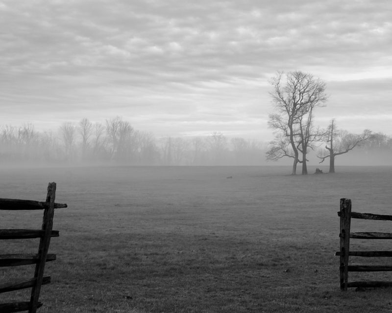 перспектива памяти Память фото превью