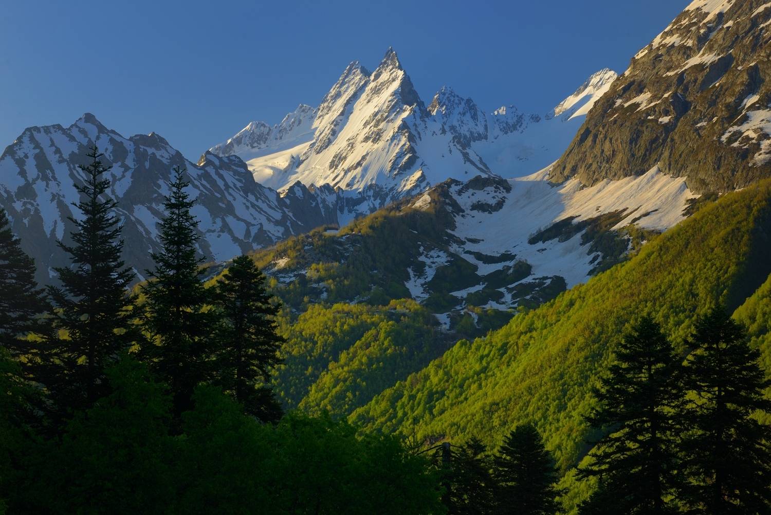 горы, лето, кавказ, Александр Жарников