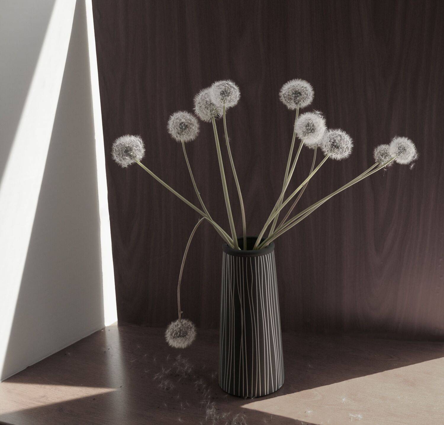 одуванчики ваза свет тень, Вера Петри