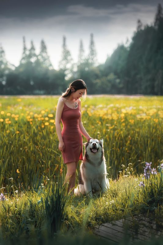 人像 人宠 宠物 动物 萌宠 田园人宠 фото превью