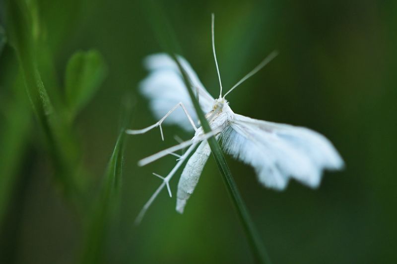 2023 фото превью