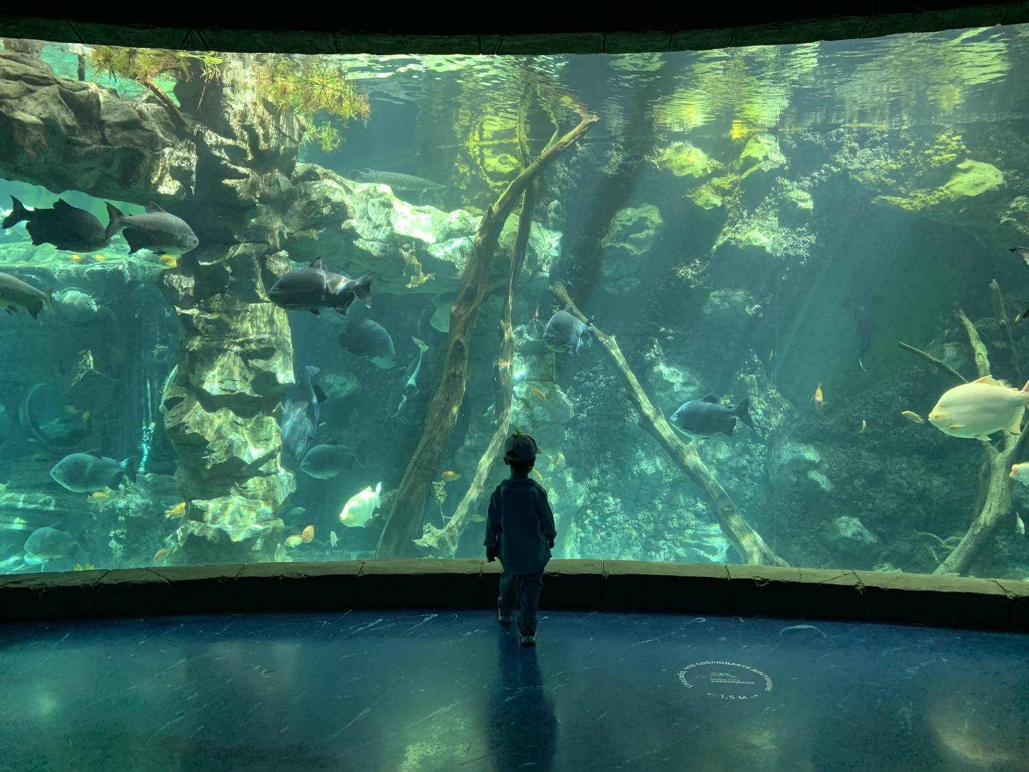 , Аседач Александр