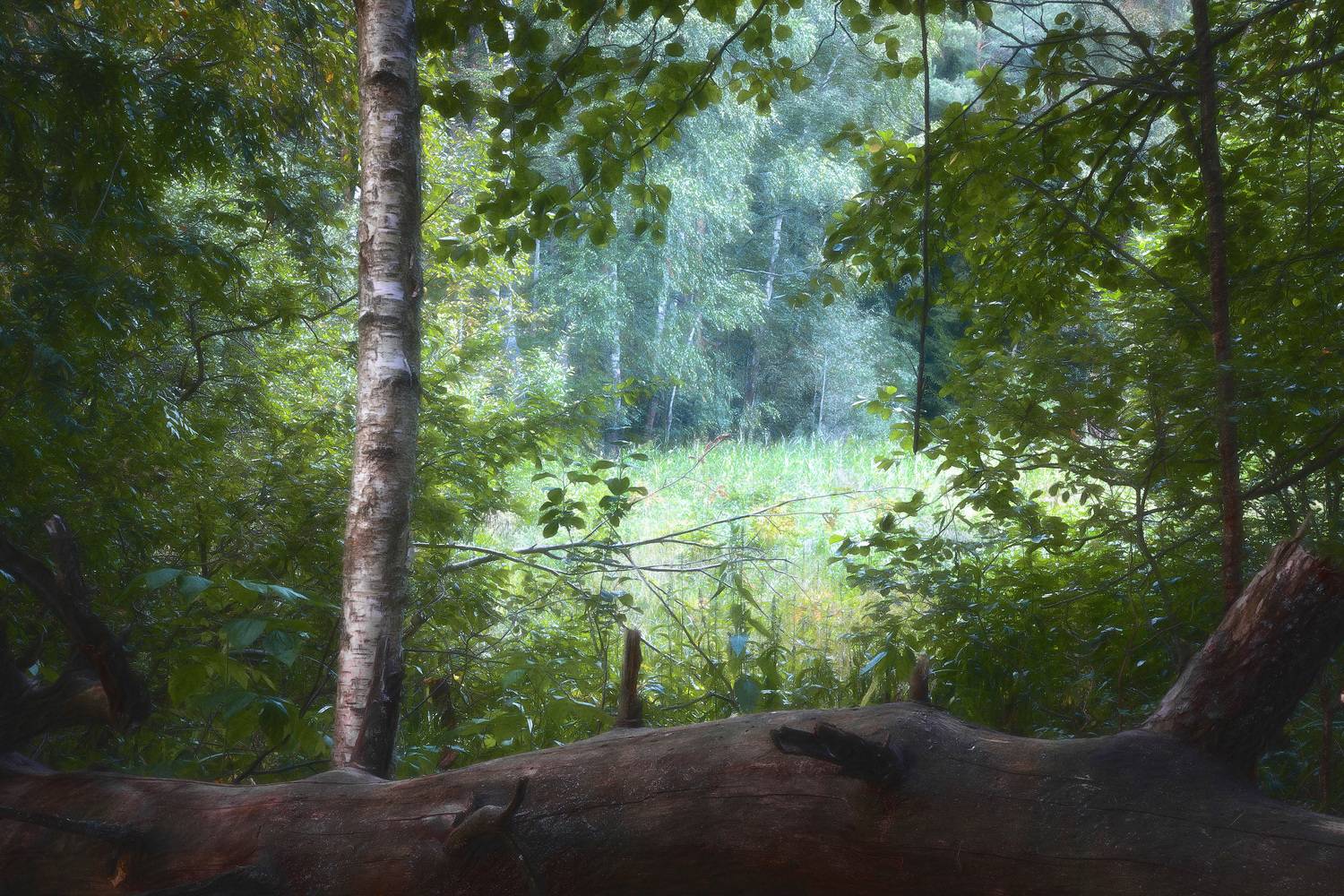 , Валерий Вождаев