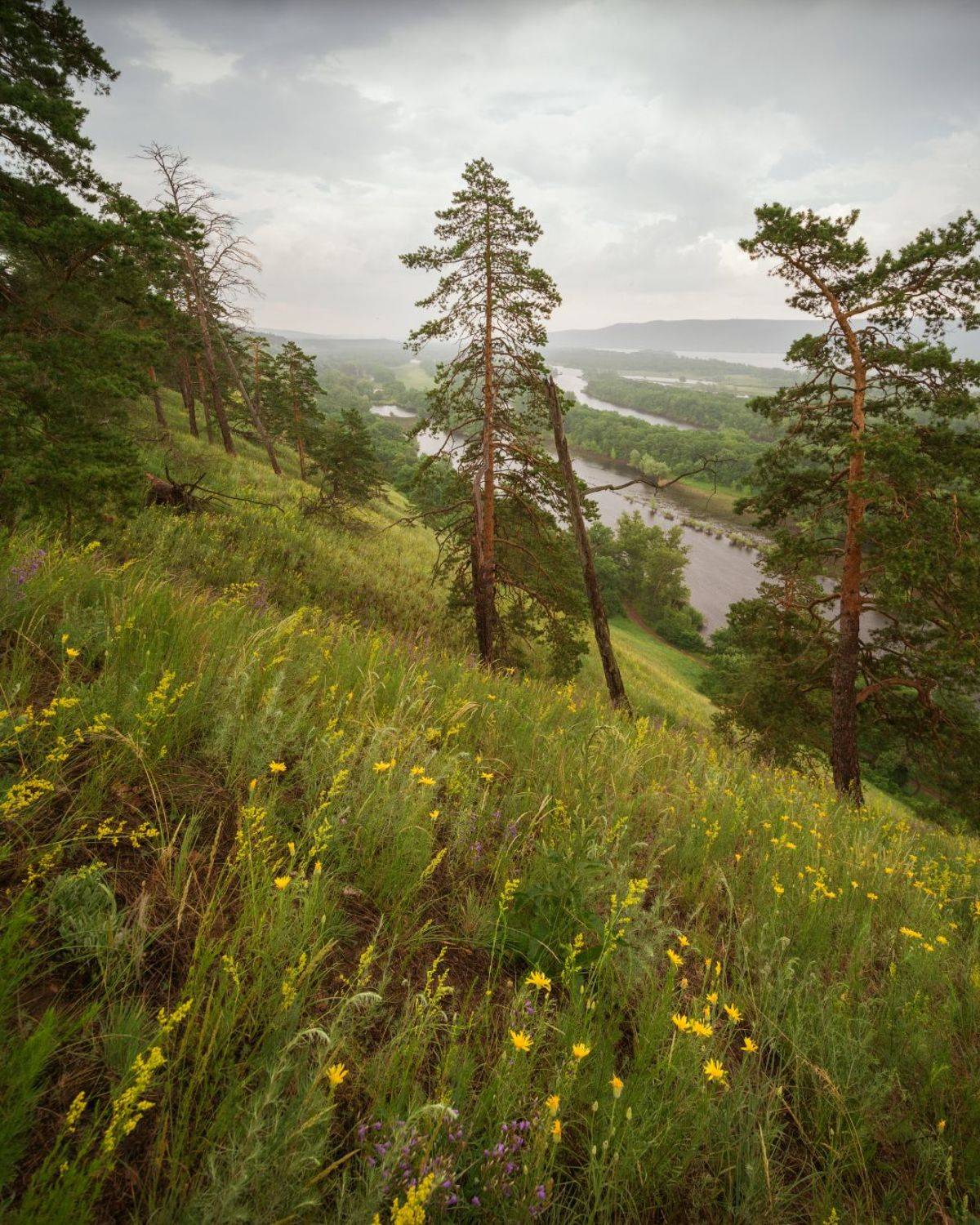 , Алексей Проняхин