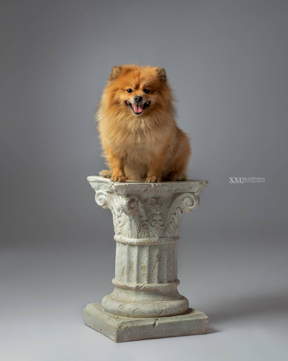 , Мильчев Илья