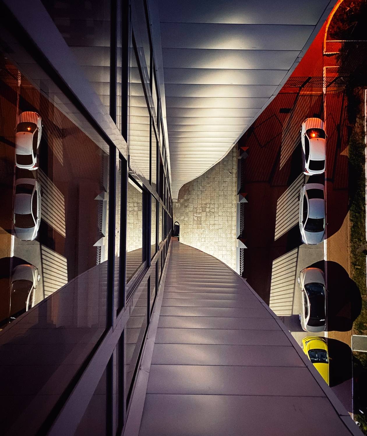 , Цвелёв Дмитрий