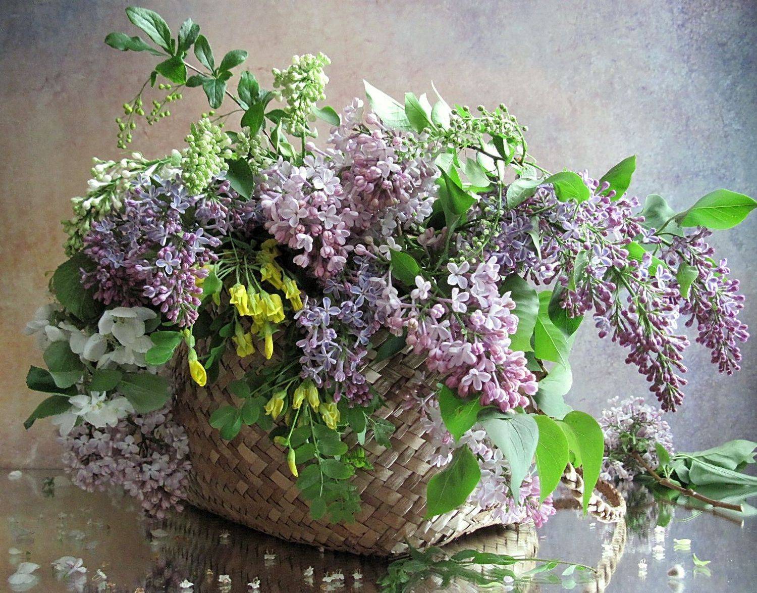 цветы, букет, ветки, сирень, корзина, Наталия Тихомирова