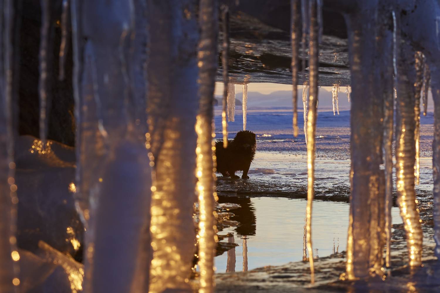 , Байбородин Михаил