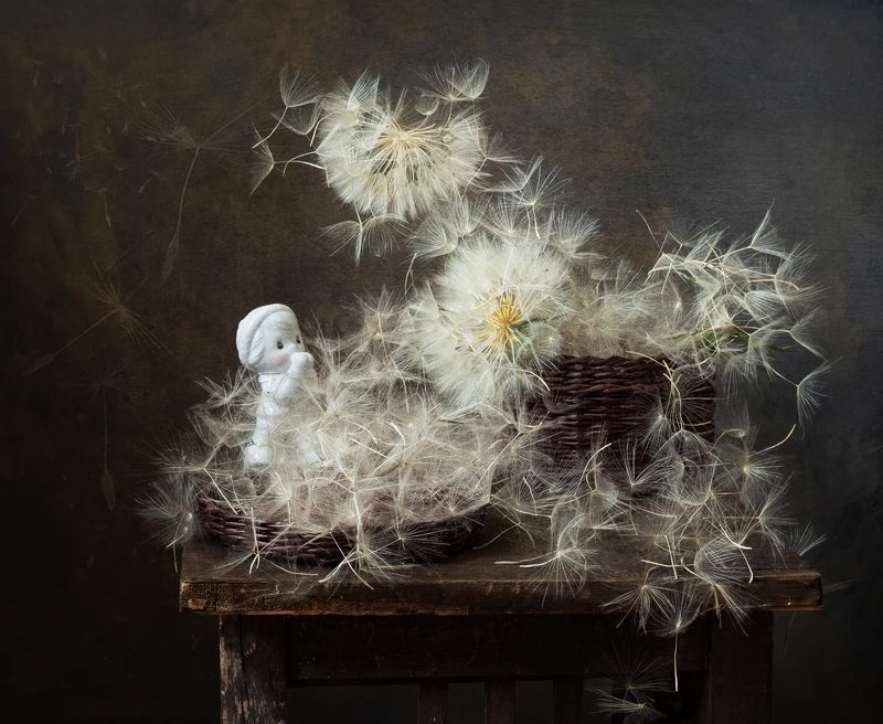 натюрморт, цветы, козлобородник Опять зима? фото превью