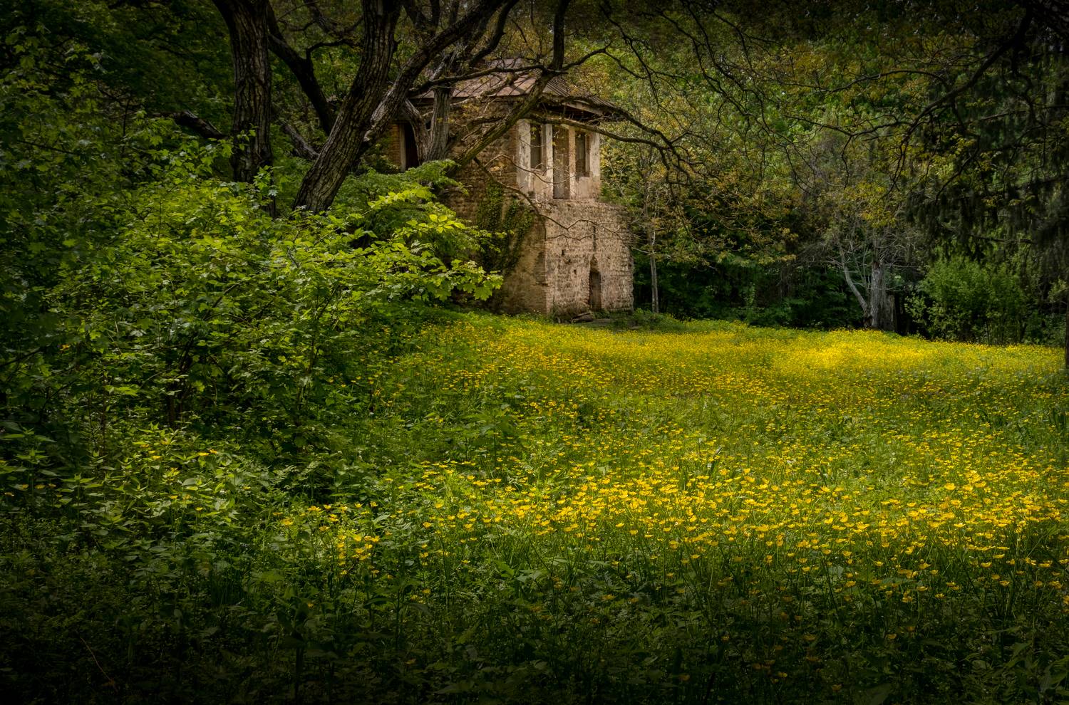 грузия, заброшенный дом, georgia, an abandoned house, нд, кавказ, зедазени, georgia нд, покинутые миры, Демкина Надежда