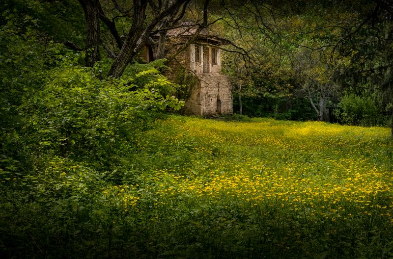 грузия, заброшенный дом, georgia, an abandoned house, нд, кавказ, зедазени, georgia нд, покинутые миры Забытый всеми... фото превью