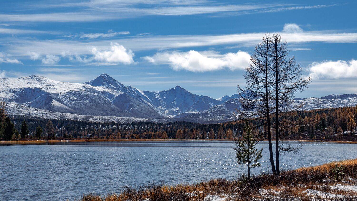 , Немшон Андрей