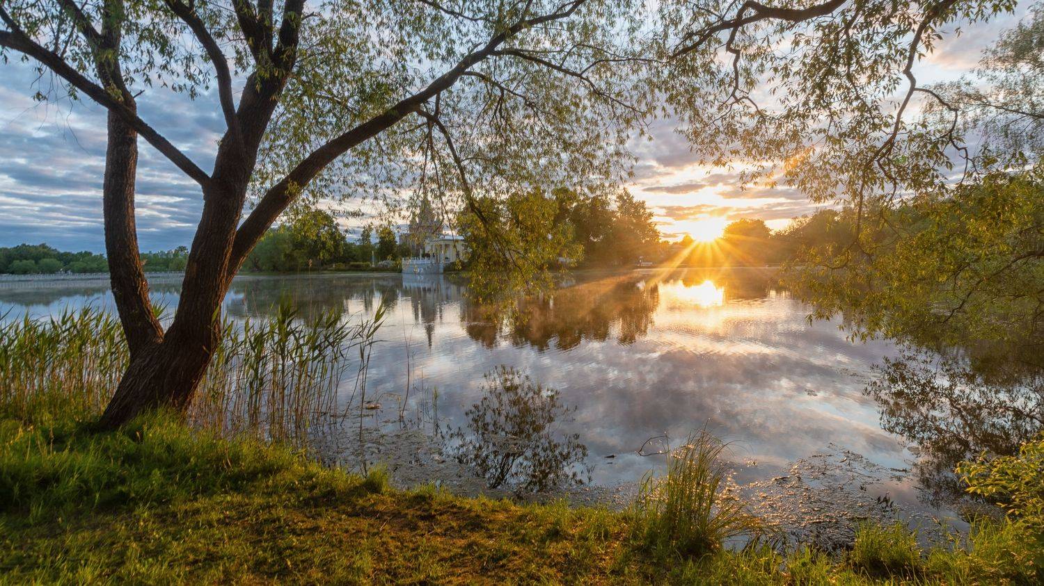 утреннее солнце, Таипов Ильгиз