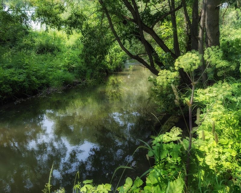 фото превью