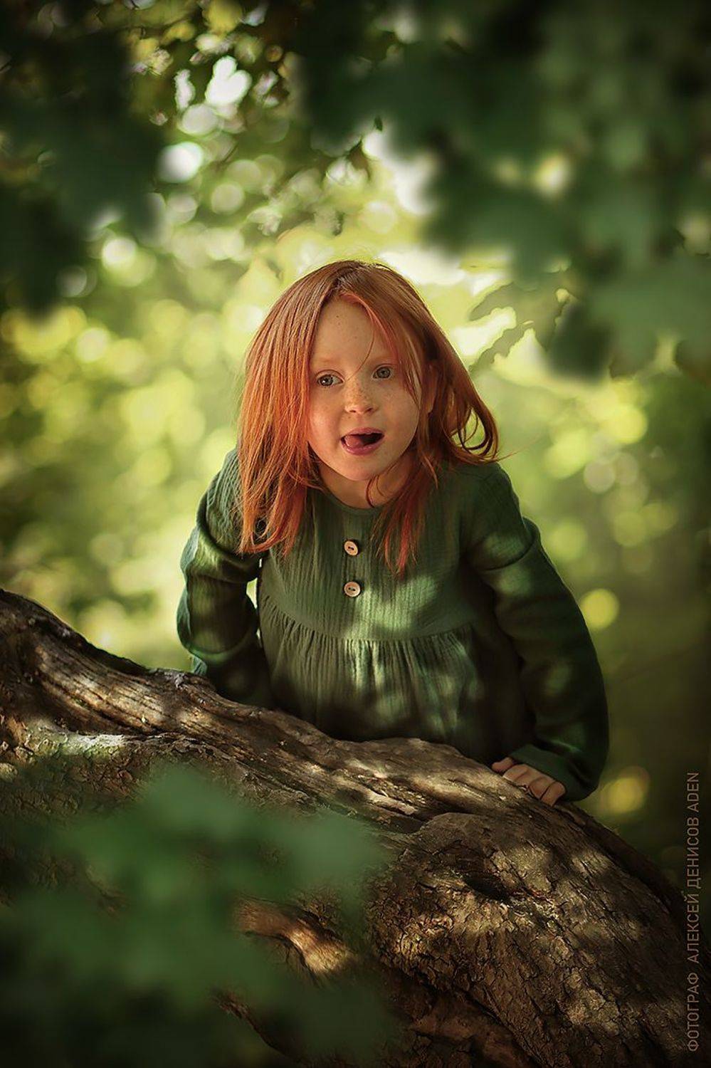 , Алексей Денисов