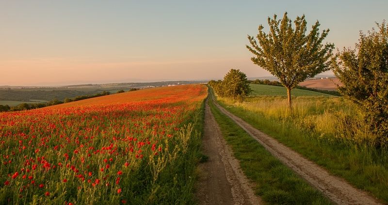 Roads фото превью