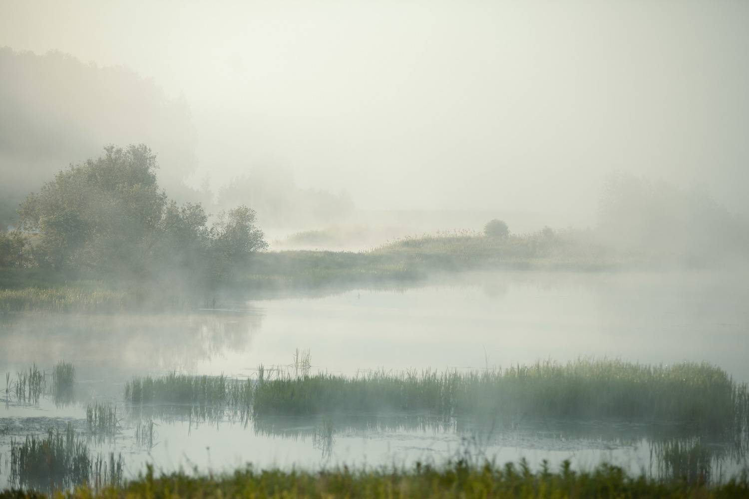 , Мария Саврасова
