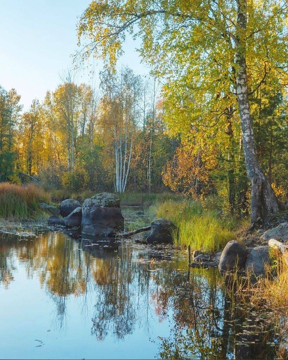 , Петр Косых