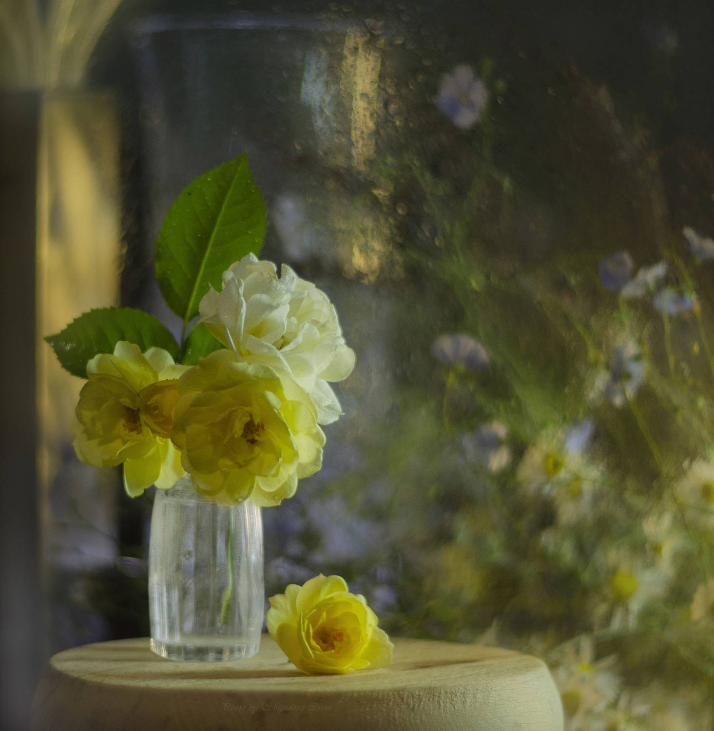 , Ирина Шипунова