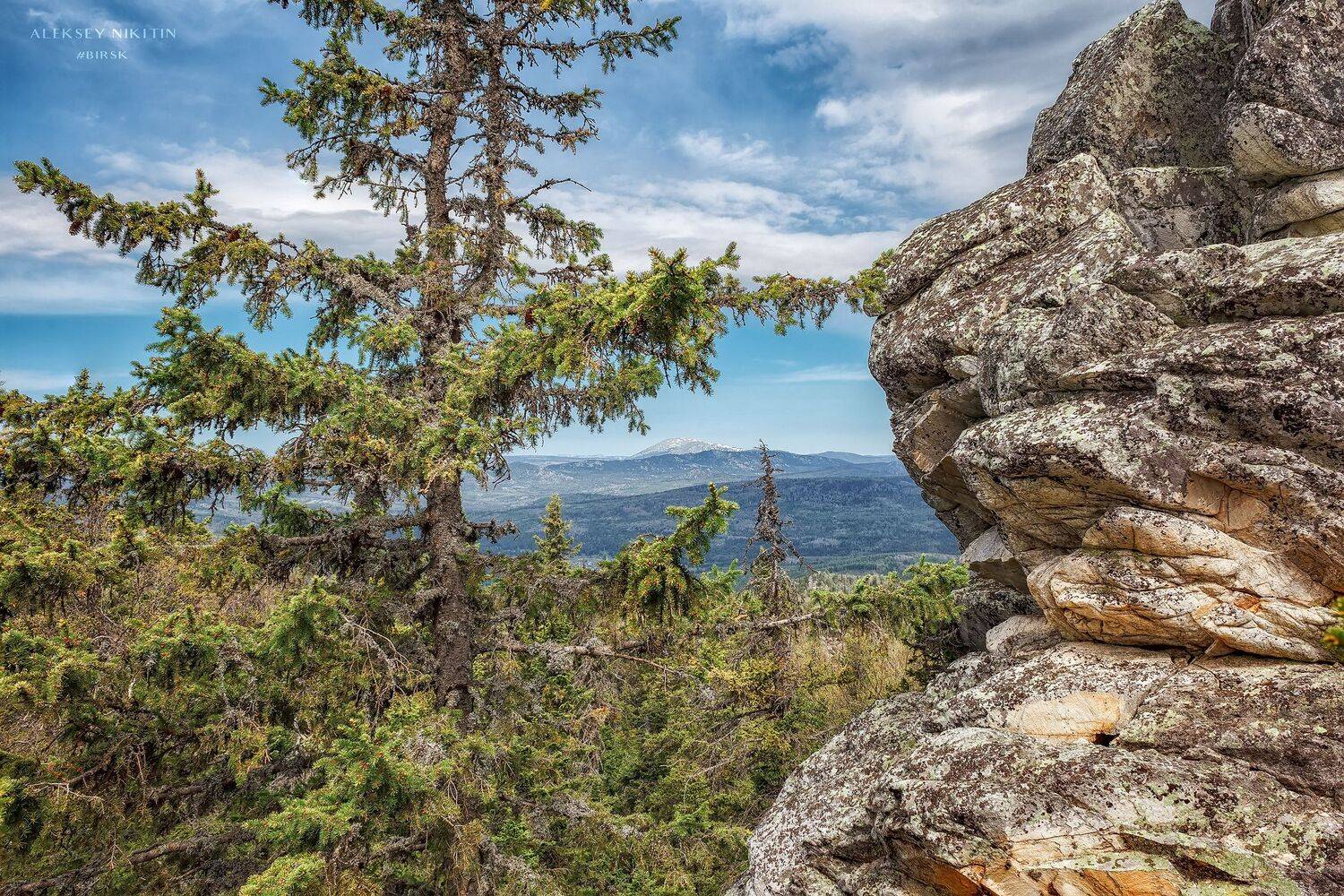 , Никитин Алексей