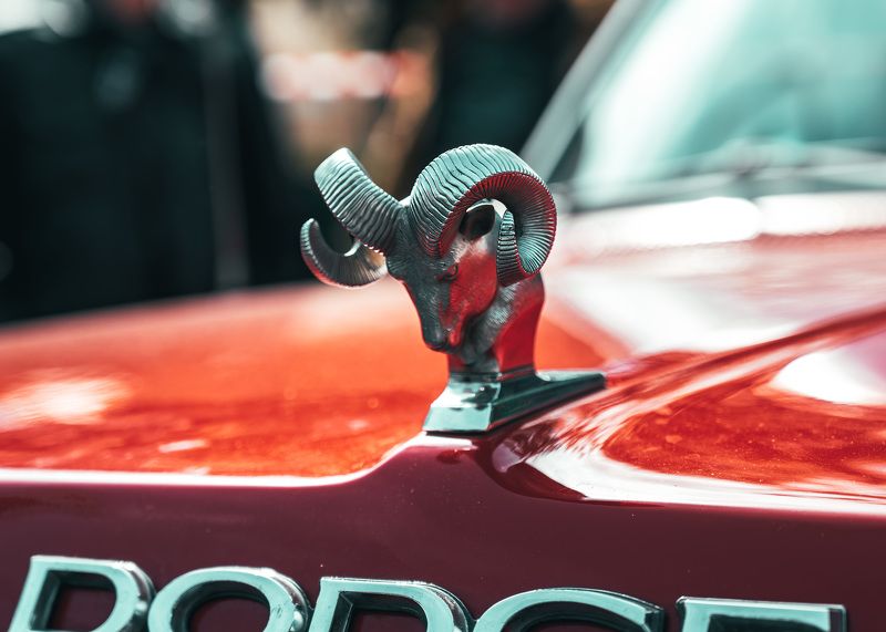Mascot Dodge фото превью