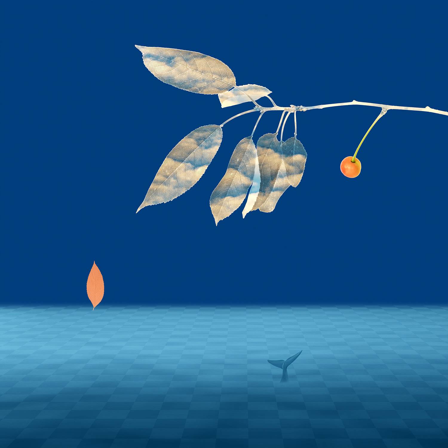 blue, branch, cherry, collage, color, colors, concept, conceptual, digital, digital art, editing, leaf, leaves, photo collage, photography, surreal, surrealism,, Dr Didi Baev