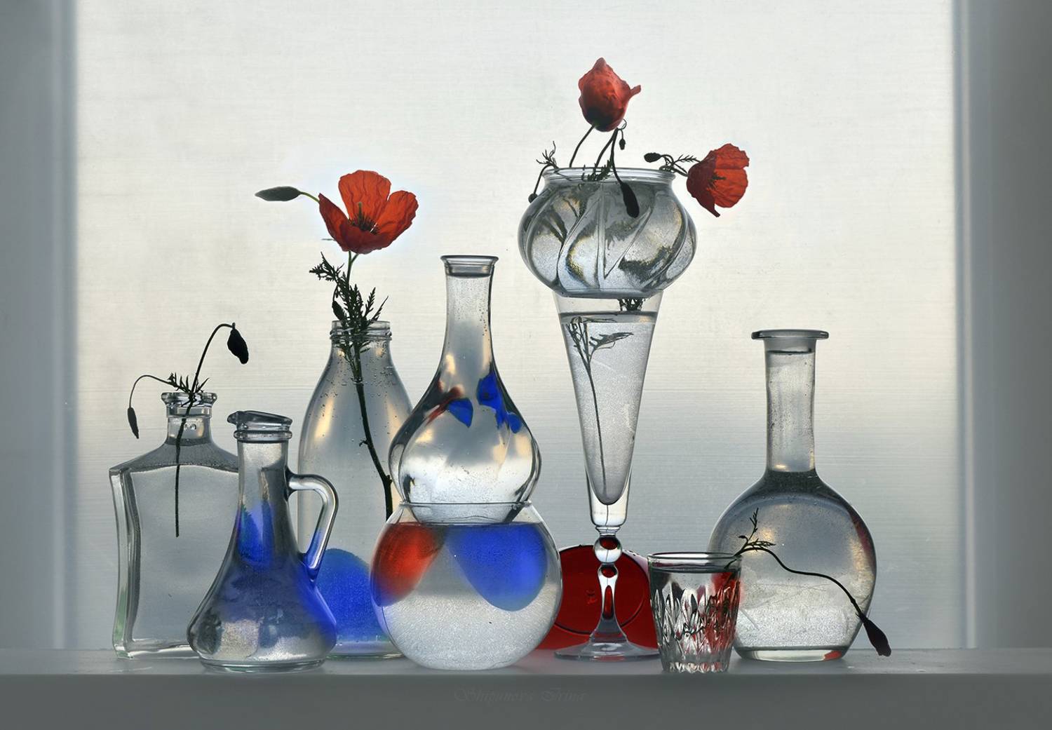 стекло, маки, триколор, Ирина Шипунова