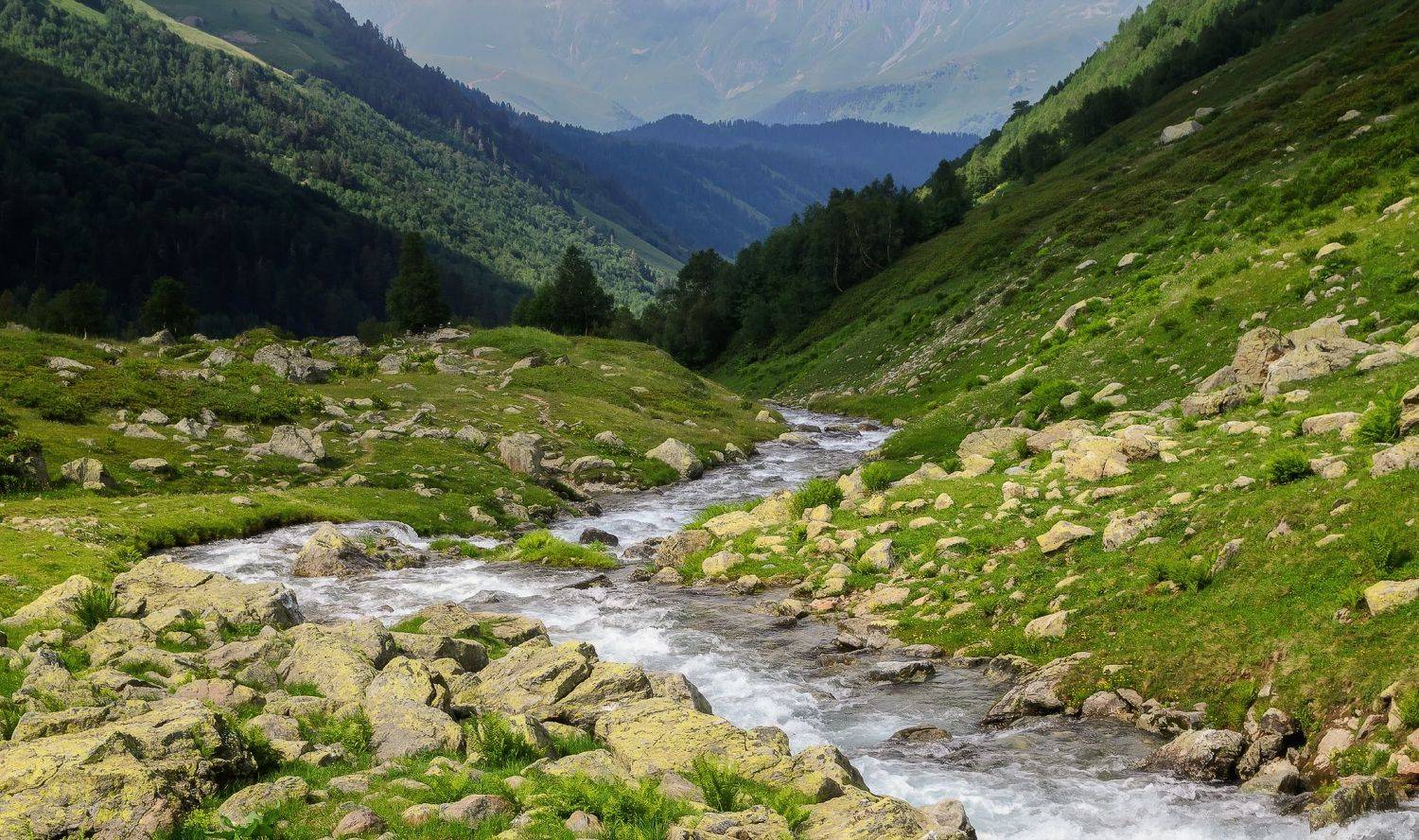 , Лысенко Сергей