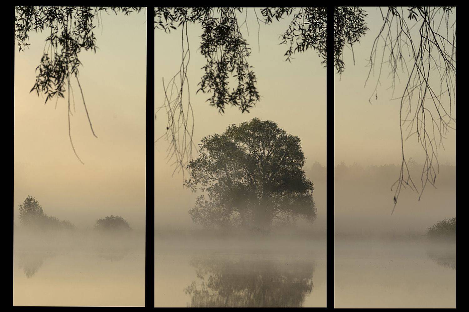 , Волоцков Александр