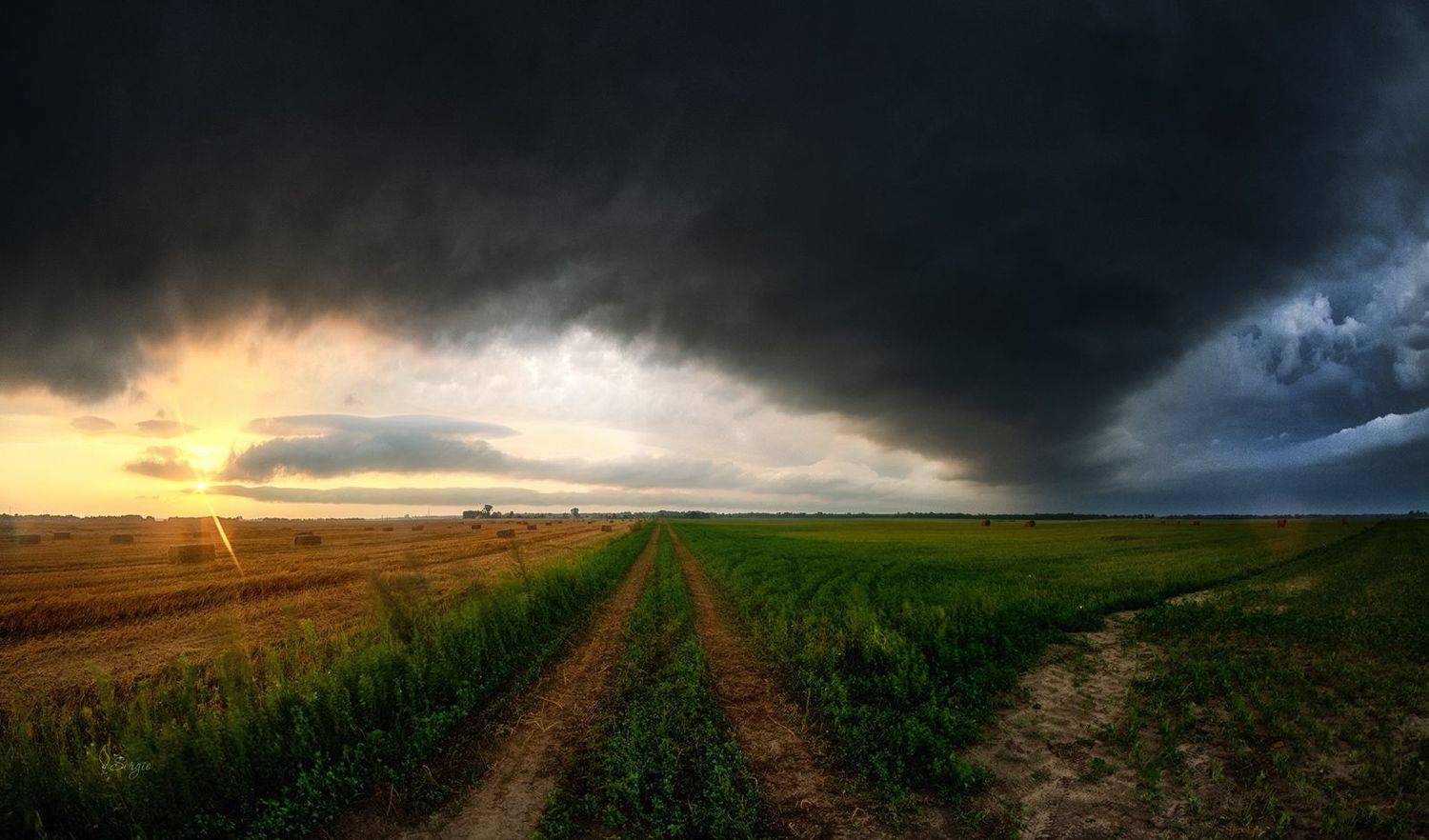 Беларусь, Серж Домбровский