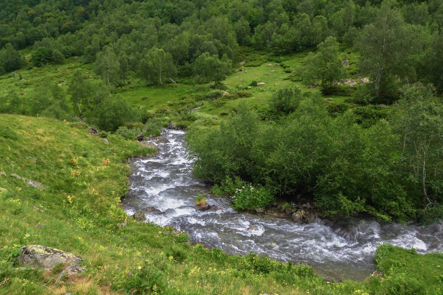 , Лысенко Сергей