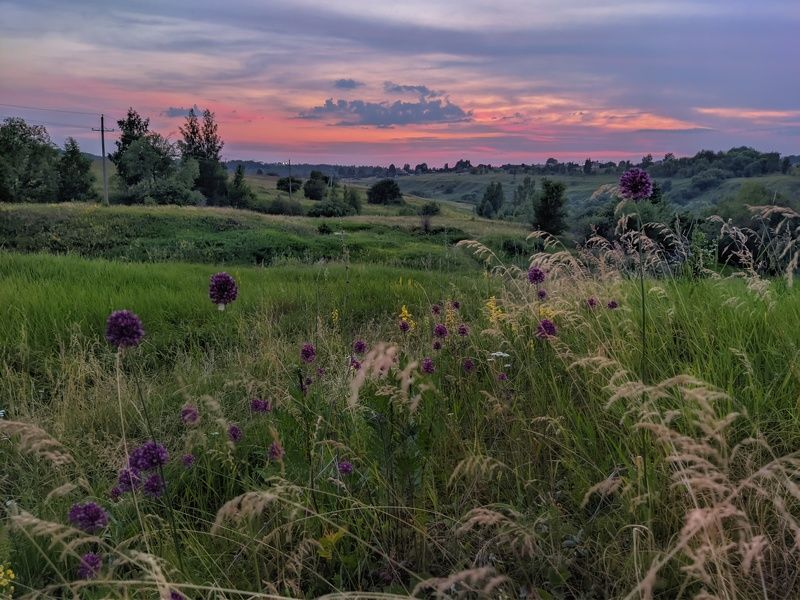 фото превью