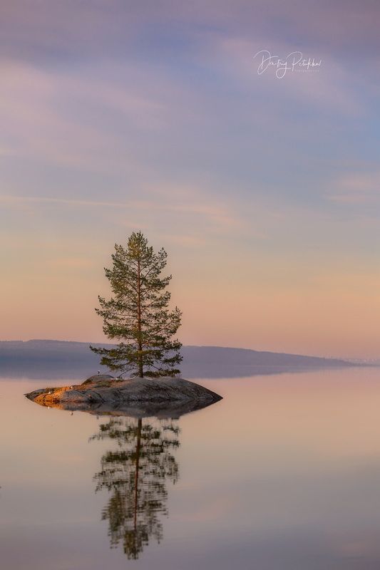 Звенящая тишина фото превью