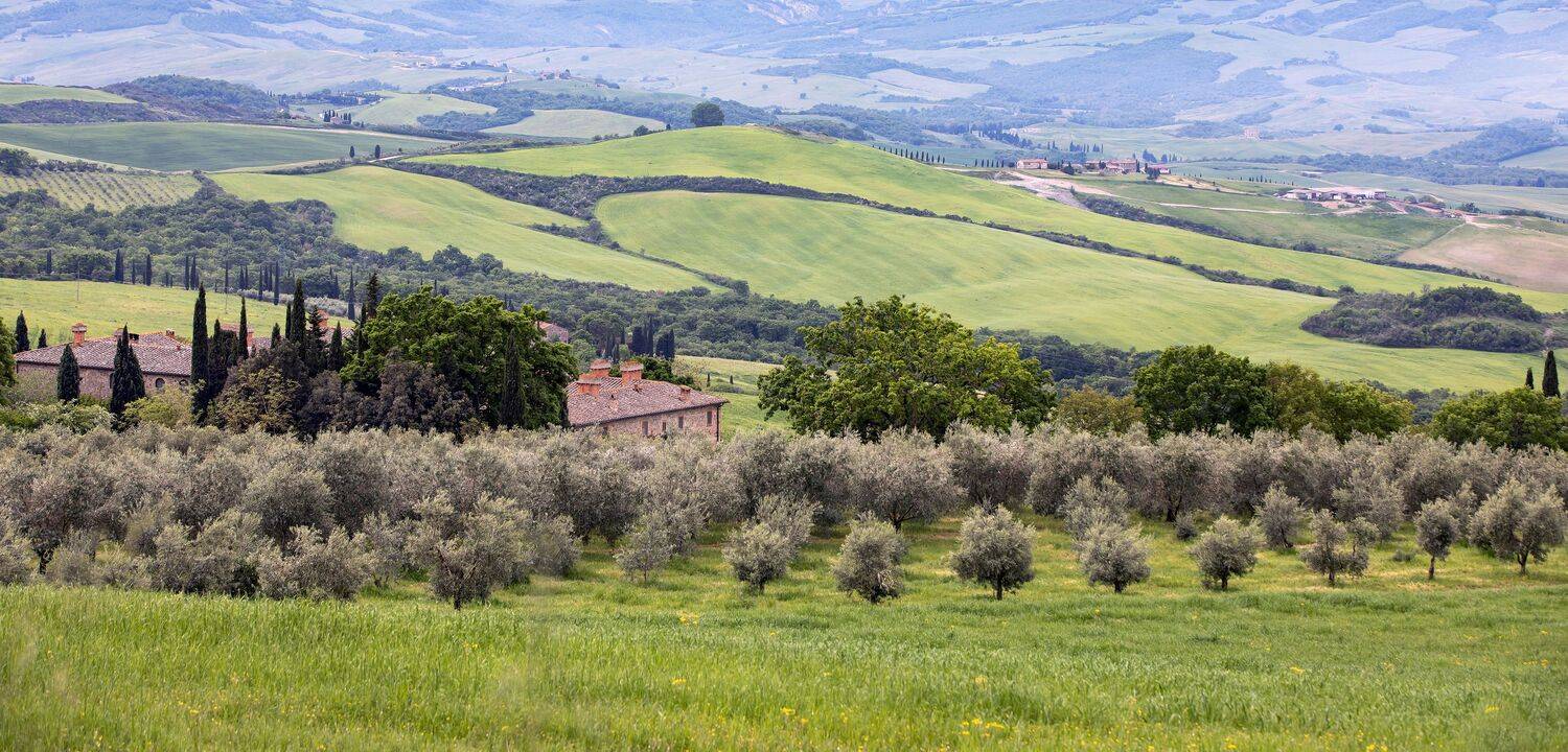 , Валентина Булкина