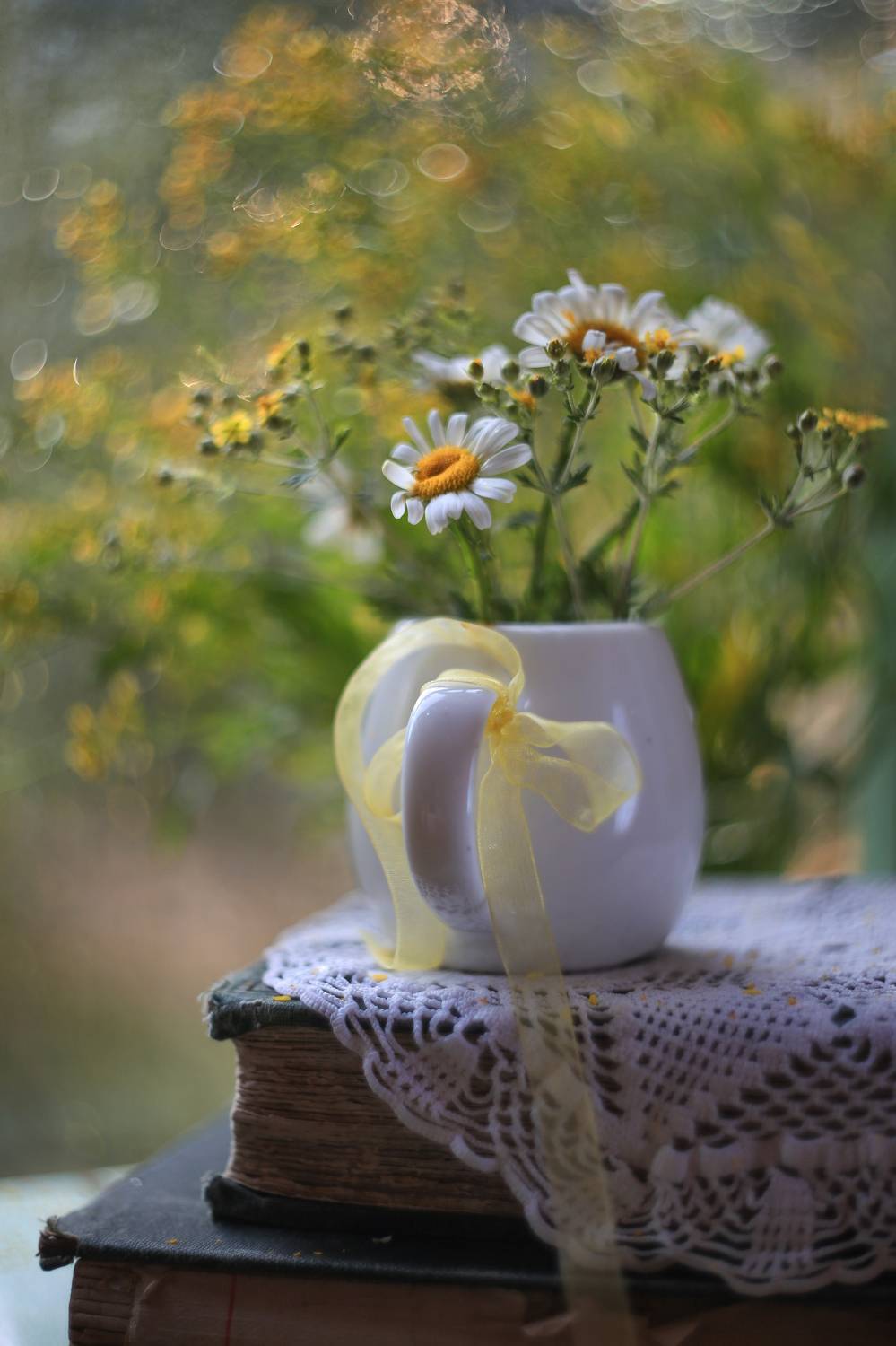 ромашки,бантик,книга, лето, молочник,краски  лета, гелиос 44-3, ГОРЮКИНА ИРИНА