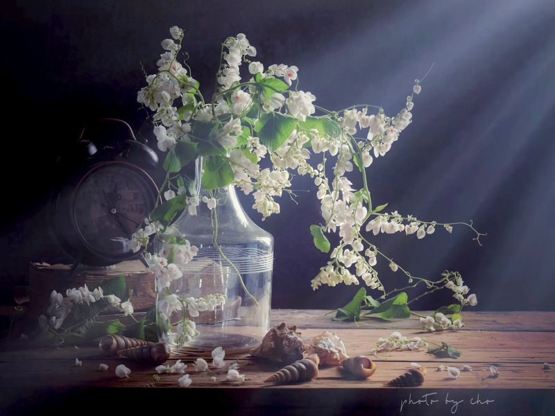 Tales of Heart фото превью