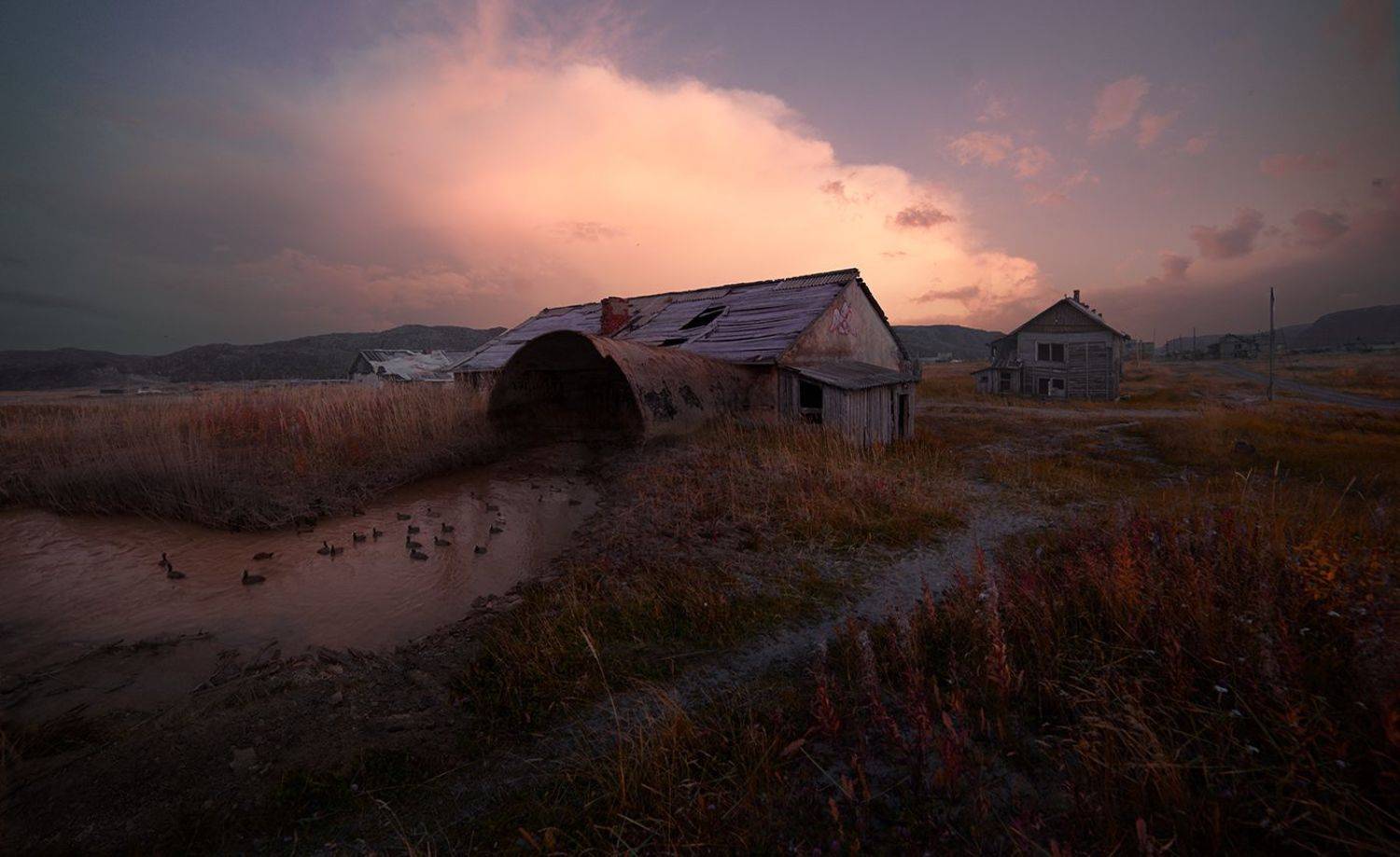 , Дeнис Бoдрoв