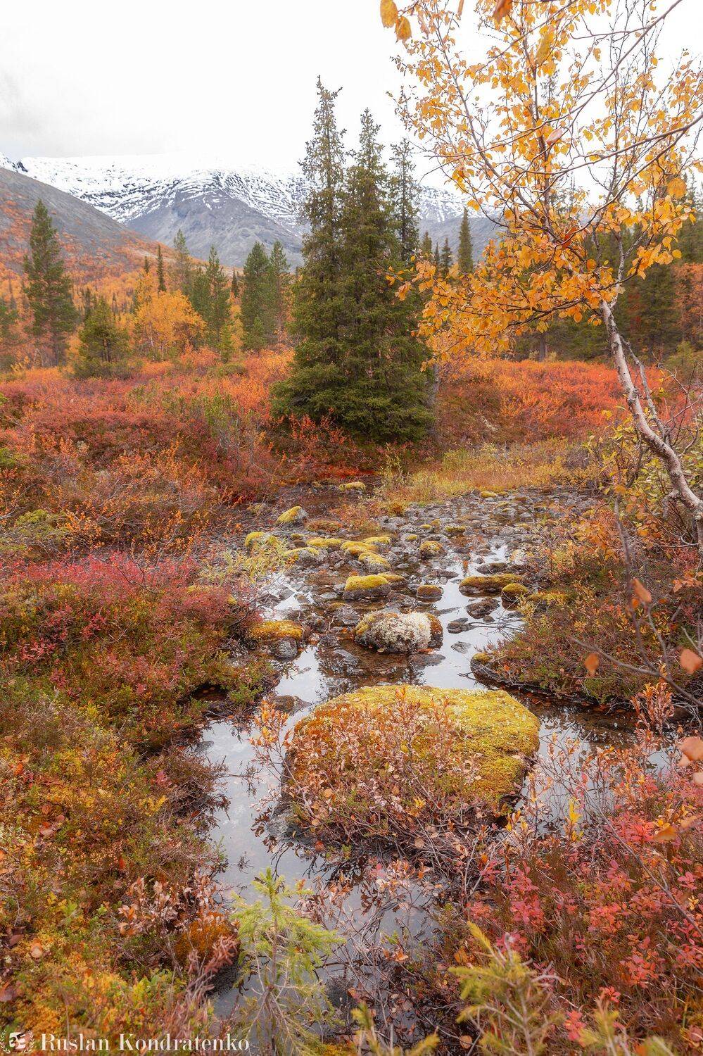 , Кондратенко Руслан