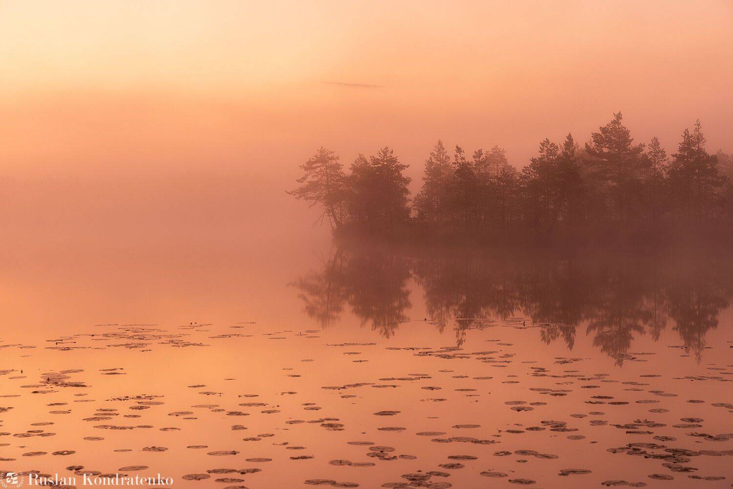 ленинградская область, озеро, рассвет, закат, рыбачье озеро, Кондратенко Руслан