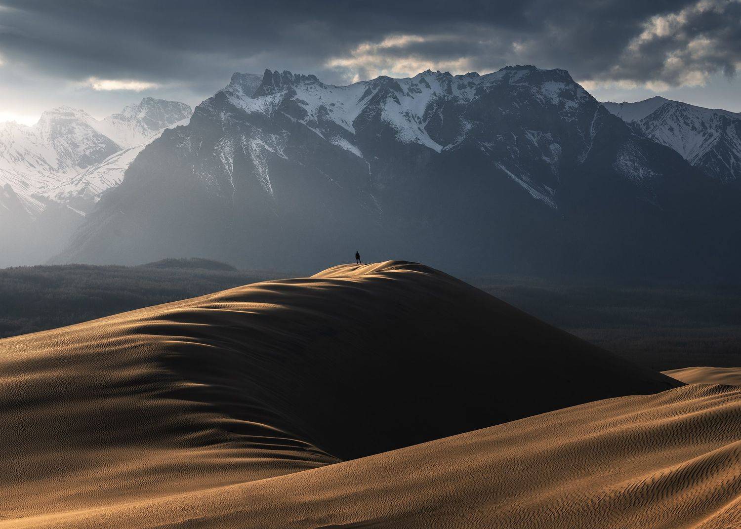 , Политова Анна