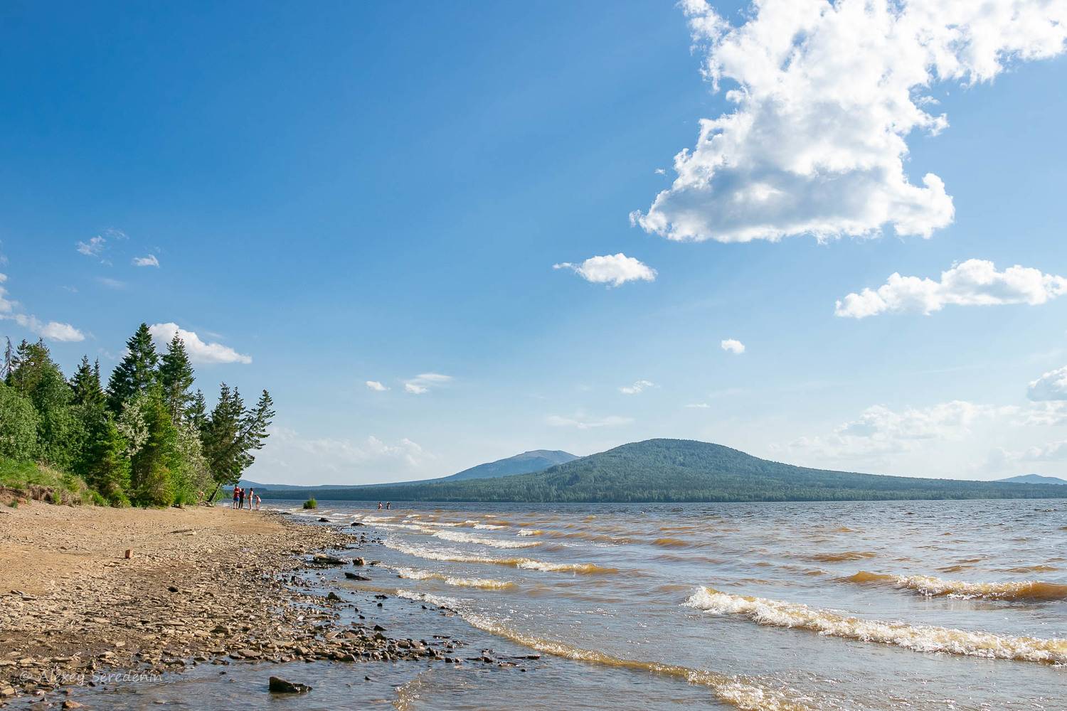 , Алексей Середенин