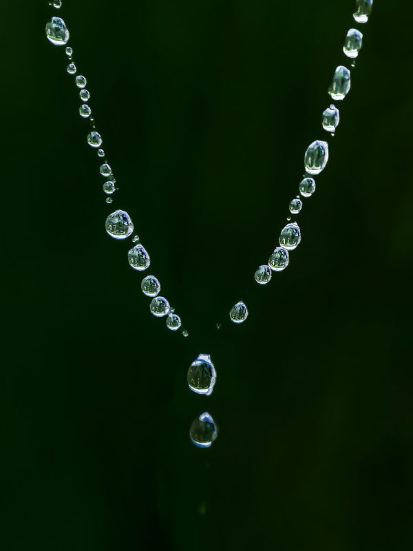 Mobile Macro Photography фото превью