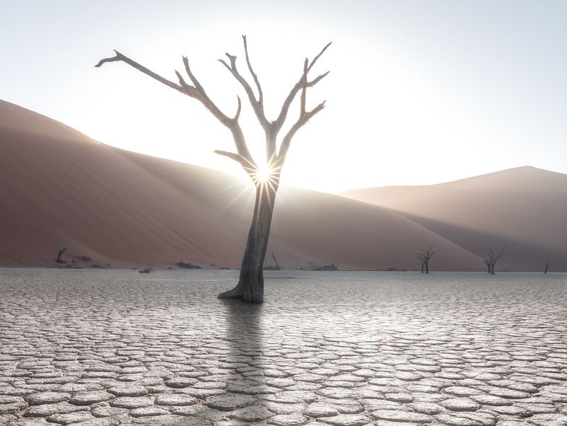 Утро в Дедвлей фото превью